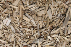 biomass boilers Balnagask